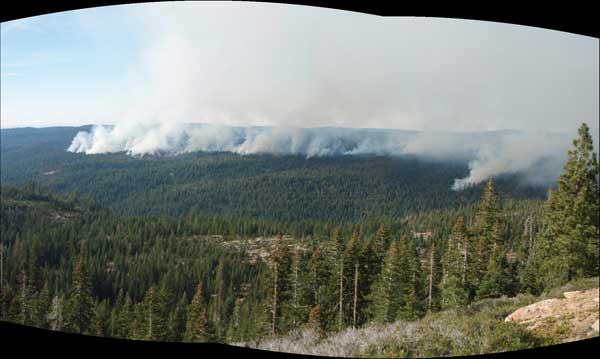 Distance photo of smoke from the Cat Anderson burn over the forest.