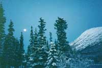 Alaska on a clear winter night