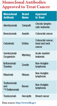 Monoclonal Antibodies Approved to Treat Cancer