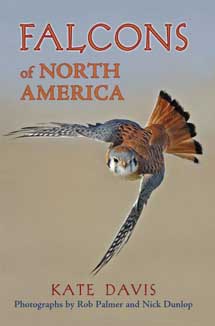 Book Cover for Falcons of North America.  Falcon in flight.