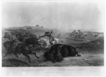 Indians hunting the bison
