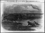 Indian hunting buffaloes on the western prairies