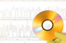 Image of a CD and graphs