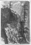 The newly-discovered mines in the Rocky Mountains - Emigrants climbing the perilous and difficult corduroy road over the mountains, 13,000 feet above sea level into Leadsville