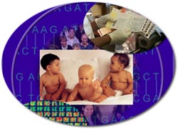 image of babies, blood spot cards, and genetic representations