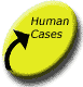 Click here to view U.S. Human Cases representing the spread of WNV