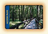 [IMAGE: Interagency Access Pass. Click for More Information on Interagency Access Pass.]