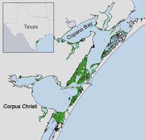 Corpus Christi Bay Map