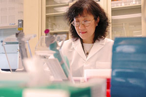 Principal Investigator Shuk-Mei Ho in her lab at the University of Cincinnati 
