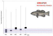 Graph of grouper populations in reference areas
