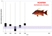 Graph of hogfish populations referencee areas