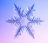 Snowflake photo 3