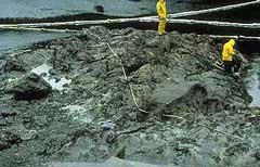 Photo taken in June 1989 in Northwest Bay, only months after the oil spill.