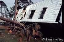 Damage from Hurricane Fredric