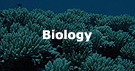Coral Reef Biology