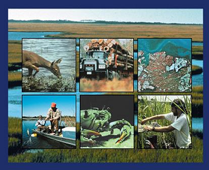 Photos of ACE Basin on CD-ROM cover