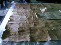 The backside of the map after partial cotton fabric lining removal, clearly showing its multiple fragments.