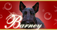 Barney Banner