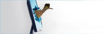 Roadrunner jumping out of a computer