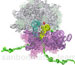 Large-scale molecular dynamics simulations