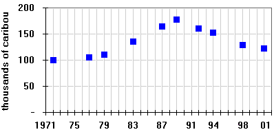 Porcupine Caribou herd size