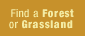 Find a Forest or Grassland.