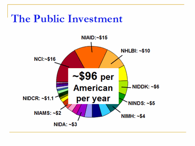 The Public Investment