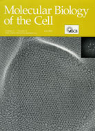 Cover of Journal of Structural Biology