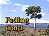 Aspen Video Title "Fading Gold" across a shot of a lone aspen tree.