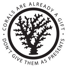 Coral jewelry campaign, IYOR.com icon