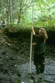 HJ Andrews EF: Watershed 1 sediment basin. Eileen McCann measuring annual bedload accumulation. Photographed by Al Levno, 8/85 