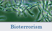 bioterrorism image