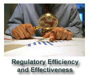 Regulatory Efficiency and Effectiveness