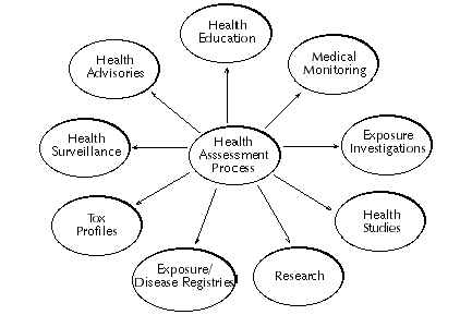 The Health Assessment Process