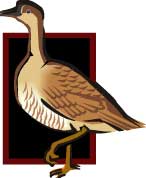 image of a goose