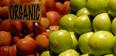 Organic fruit
