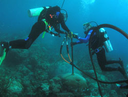 coral drilling