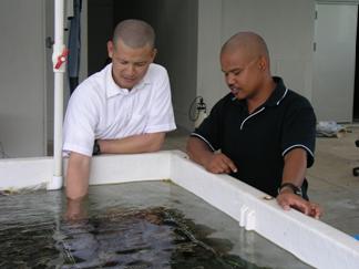 Steve and Yim examining juvenile corals. Photo courtesy of Charlene Mersai 