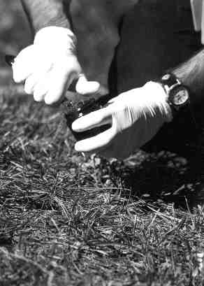 Soil Testing, Sample Collection