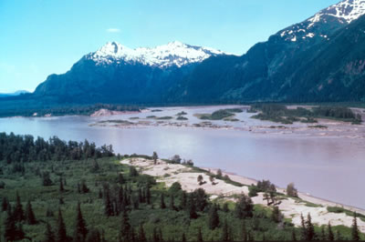 Stikine River