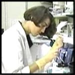 Researcher at work in lab setting.