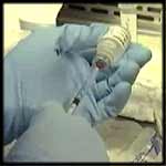 A researcher's gloved hands filling a syringe with vaccine.