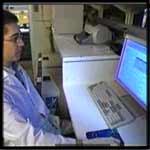 NCI Scientist Viewing PC Monitor