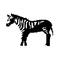 zebra drawing