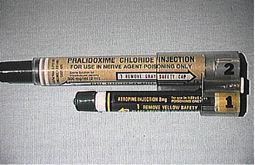 Military MARK I Kit containing atropine and 2-PAM auto injectors
