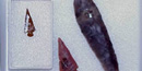 A photo of arrowheads that archeologists found in the park.