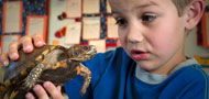 Boy with box turtle Photo