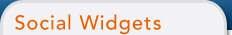 Social Media Widgets