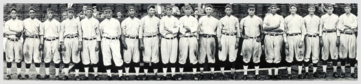 A posed baseball team picture.