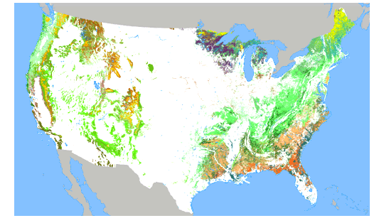 map of forest resources of the United States